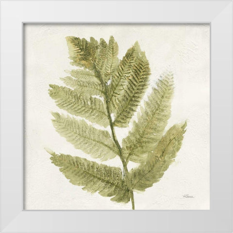 Forest Ferns I White Modern Wood Framed Art Print by Hristova, Albena