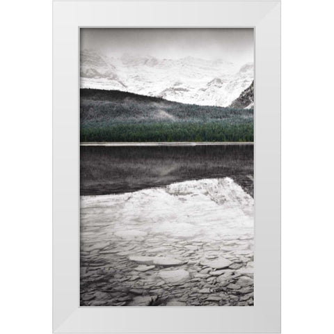 Waterfowl Lake Panel I BW with Color White Modern Wood Framed Art Print by Audit, Lisa
