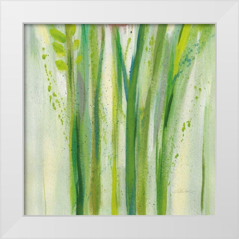 Longstem Bouquet II Square III White Modern Wood Framed Art Print by Vassileva, Silvia