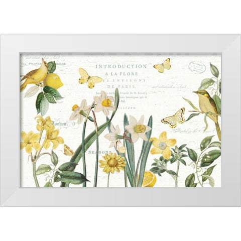 Citron Curiosities I White Modern Wood Framed Art Print by Pertiet, Katie