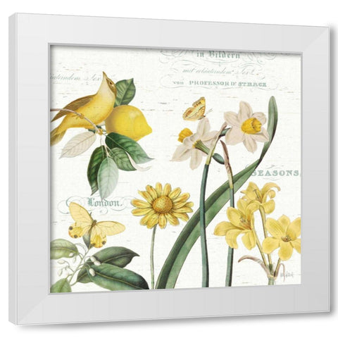 Citron Curiosities II White Modern Wood Framed Art Print by Pertiet, Katie