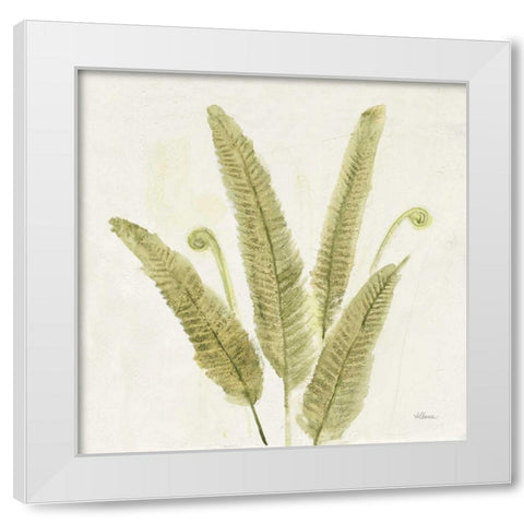 Forest Ferns II v2 White Modern Wood Framed Art Print by Hristova, Albena