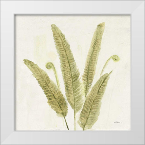 Forest Ferns II v2 White Modern Wood Framed Art Print by Hristova, Albena