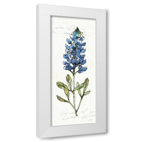 Texas Bluebonnet IV White Modern Wood Framed Art Print by Tavoletti, Anne