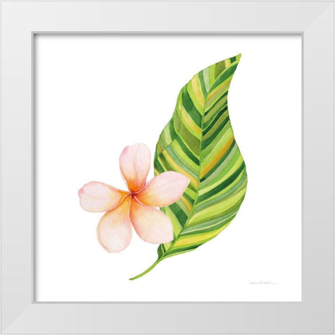 Treasures of the Tropics X White Modern Wood Framed Art Print by McKenna, Kathleen Parr