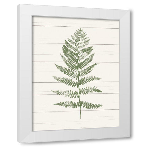 Fern Print II White Modern Wood Framed Art Print by Hershey, Moira
