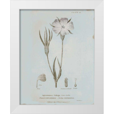 Conversations on Botany III Blue White Modern Wood Framed Art Print by Wild Apple Portfolio