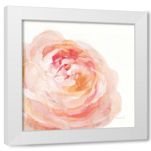 Garden Rose on White Crop White Modern Wood Framed Art Print by Nai, Danhui