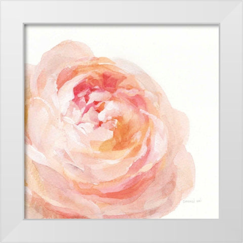 Garden Rose on White Crop White Modern Wood Framed Art Print by Nai, Danhui