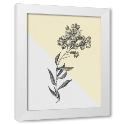 Conversations on Botany VI Color Block White Modern Wood Framed Art Print by Wild Apple Portfolio