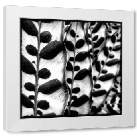 Leaves and Vines White Modern Wood Framed Art Print by Aledanda