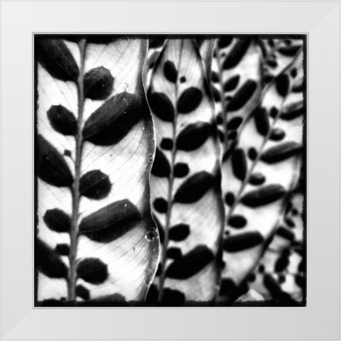 Leaves and Vines White Modern Wood Framed Art Print by Aledanda