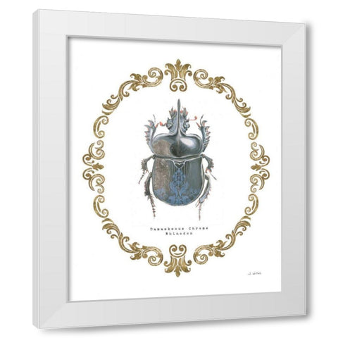Adorning Coleoptera IV White Modern Wood Framed Art Print by Wiens, James