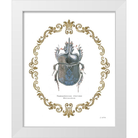 Adorning Coleoptera IV White Modern Wood Framed Art Print by Wiens, James