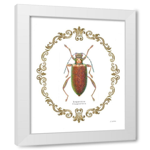 Adorning Coleoptera VI White Modern Wood Framed Art Print by Wiens, James