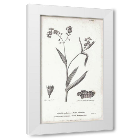 Conversations on Botany I White Modern Wood Framed Art Print by Wild Apple Portfolio