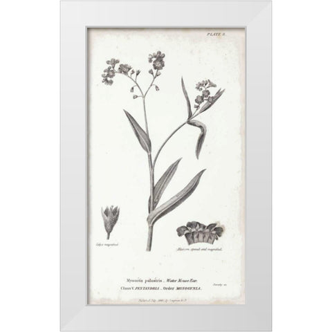 Conversations on Botany I White Modern Wood Framed Art Print by Wild Apple Portfolio
