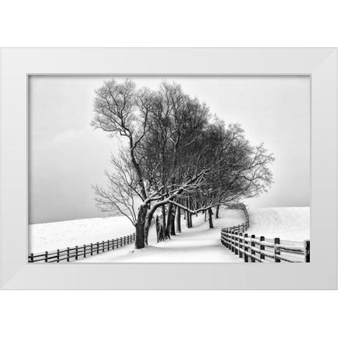 Along the Lane I White Modern Wood Framed Art Print by Aledanda