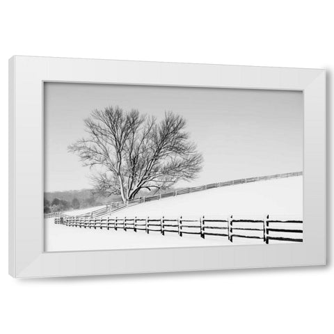 Along the Lane II White Modern Wood Framed Art Print by Aledanda