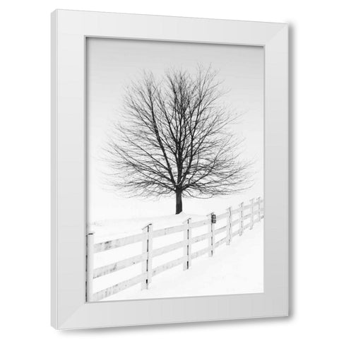 Along the Lane III White Modern Wood Framed Art Print by Aledanda