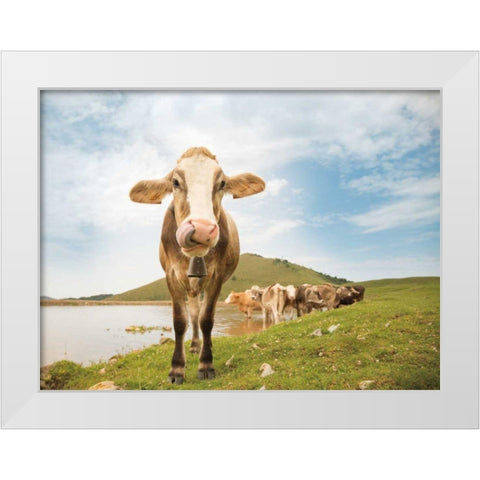 Close Up II White Modern Wood Framed Art Print by Aledanda