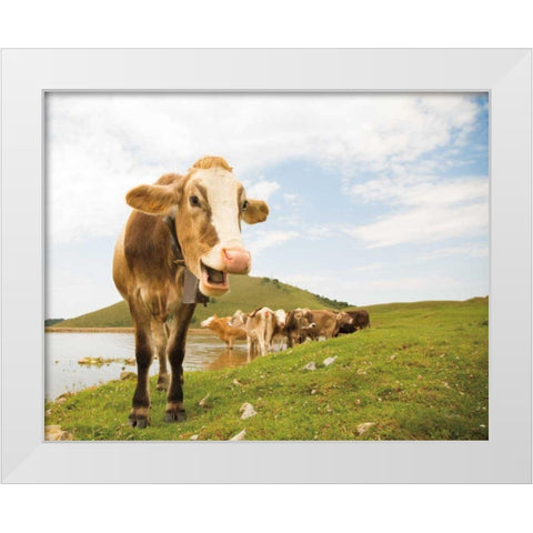 Close Up III White Modern Wood Framed Art Print by Aledanda