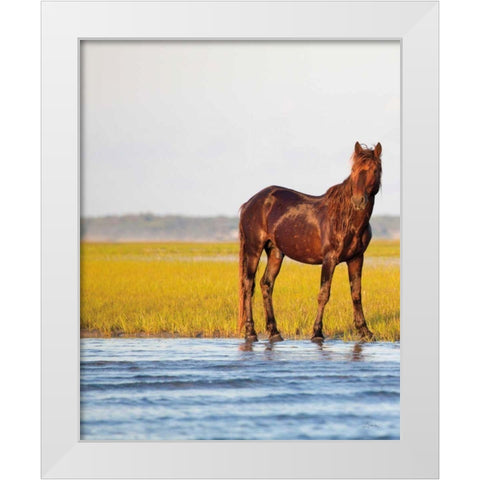 By the River White Modern Wood Framed Art Print by Aledanda