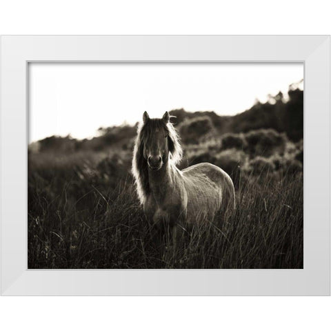 Evening Glow Crop White Modern Wood Framed Art Print by Aledanda