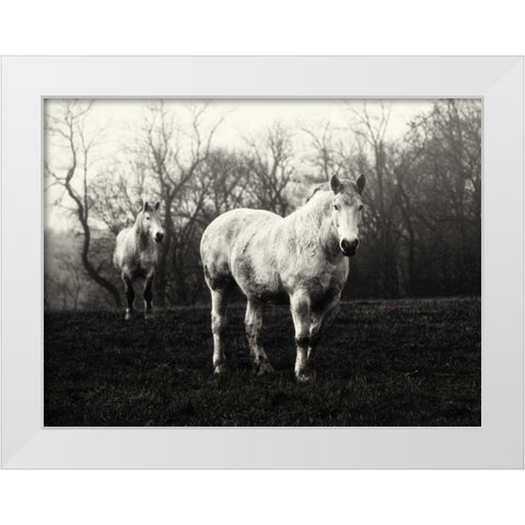 Leading the Way White Modern Wood Framed Art Print by Aledanda