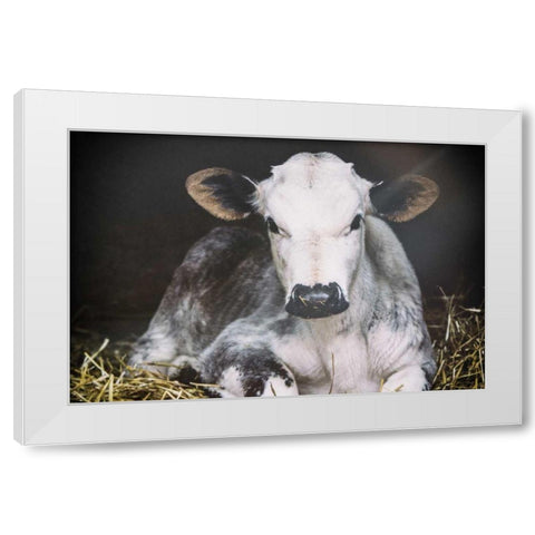 Busy Day Crop White Modern Wood Framed Art Print by Aledanda