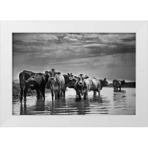 In the River White Modern Wood Framed Art Print by Aledanda