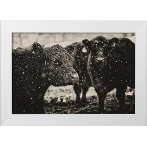 Its Snowing White Modern Wood Framed Art Print by Aledanda