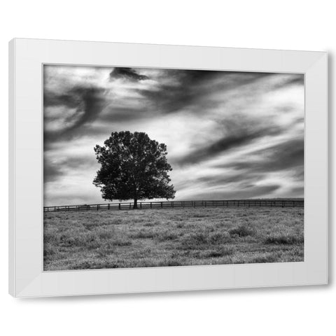 Majestic Crop White Modern Wood Framed Art Print by Aledanda