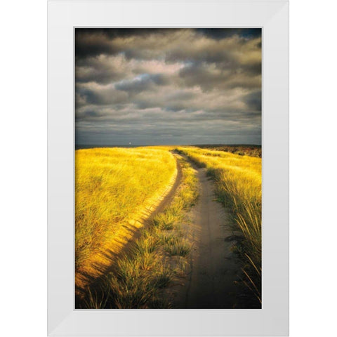 Down the Road White Modern Wood Framed Art Print by Aledanda
