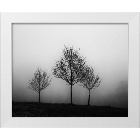 In the Fog Crop White Modern Wood Framed Art Print by Aledanda