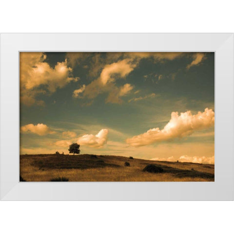 What Beautiful Clouds White Modern Wood Framed Art Print by Aledanda