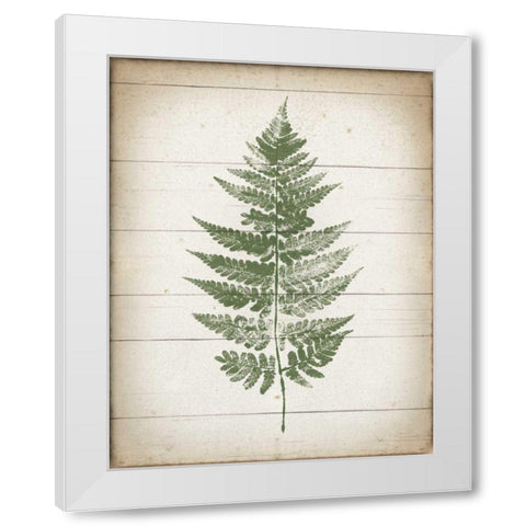 Fern Print I v2 White Modern Wood Framed Art Print by Hershey, Moira
