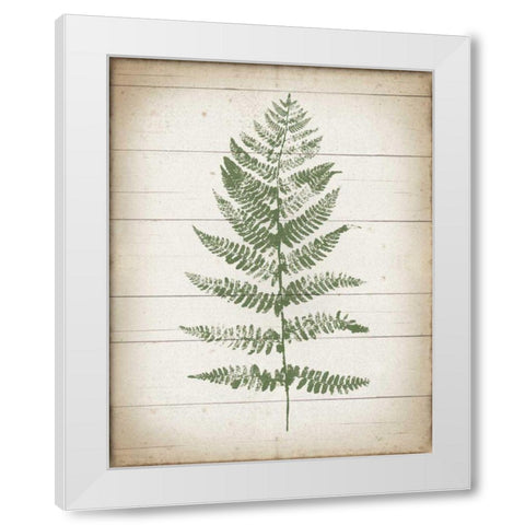 Fern Print II v2 White Modern Wood Framed Art Print by Hershey, Moira