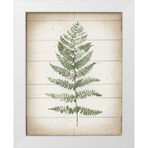 Fern Print II v2 White Modern Wood Framed Art Print by Hershey, Moira