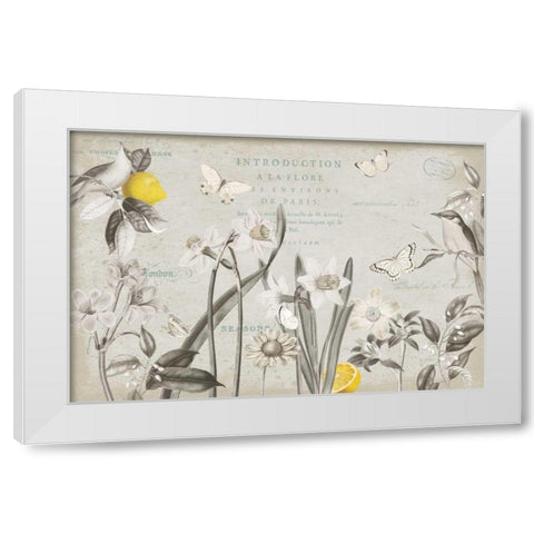 Citron Curiosities I Gray White Modern Wood Framed Art Print by Pertiet, Katie