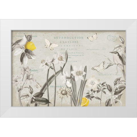 Citron Curiosities I Gray White Modern Wood Framed Art Print by Pertiet, Katie