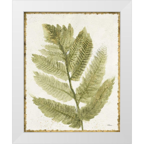 Forest Ferns I Antique White Modern Wood Framed Art Print by Hristova, Albena