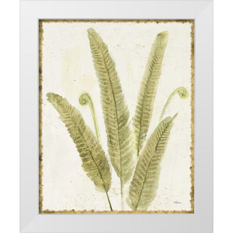 Forest Ferns II v2 Antique White Modern Wood Framed Art Print by Hristova, Albena