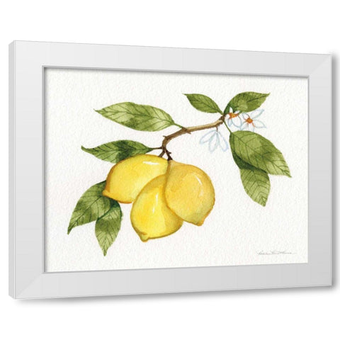 Citrus Garden I White Modern Wood Framed Art Print by McKenna, Kathleen Parr