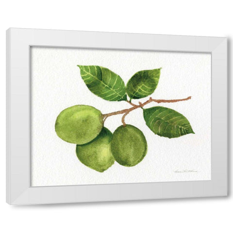Citrus Garden II White Modern Wood Framed Art Print by McKenna, Kathleen Parr