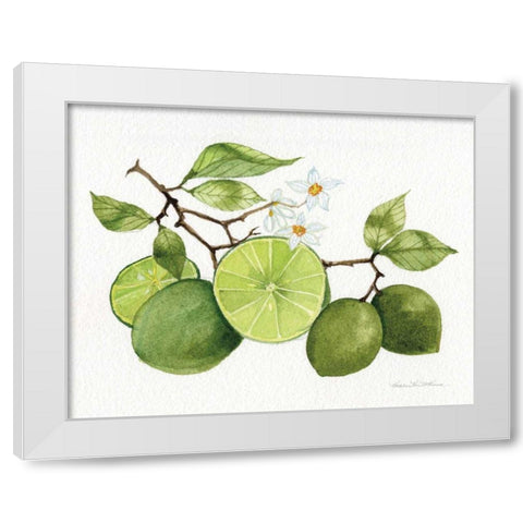 Citrus Garden VII White Modern Wood Framed Art Print by McKenna, Kathleen Parr