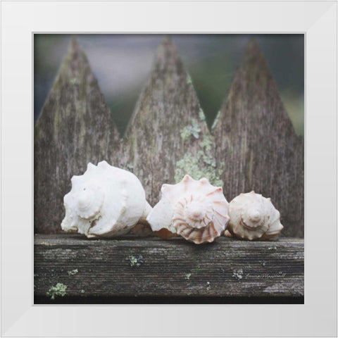 Beach Treasures White Modern Wood Framed Art Print by Marshall, Laura