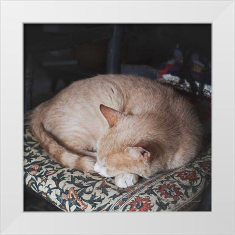 Sleepy Afternoon White Modern Wood Framed Art Print by Marshall, Laura