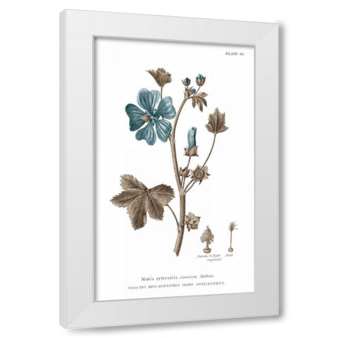 Conversations on Botany VII on White with Blue White Modern Wood Framed Art Print by Wild Apple Portfolio
