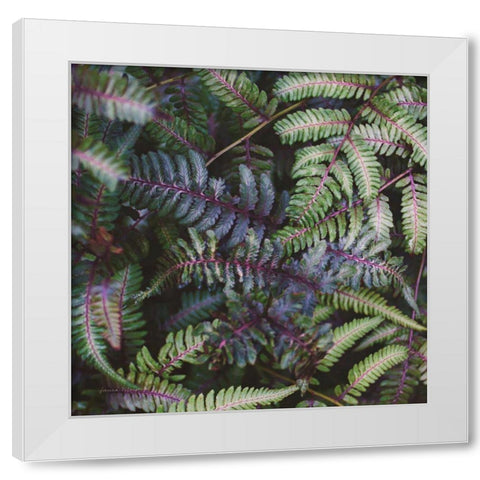 Funky Ferns V White Modern Wood Framed Art Print by Marshall, Laura